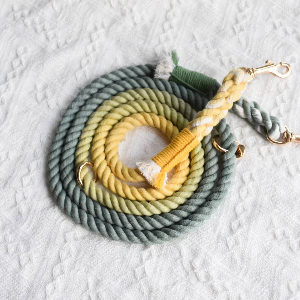 Hands-Free Dog Rope Dog Leash - Avocado