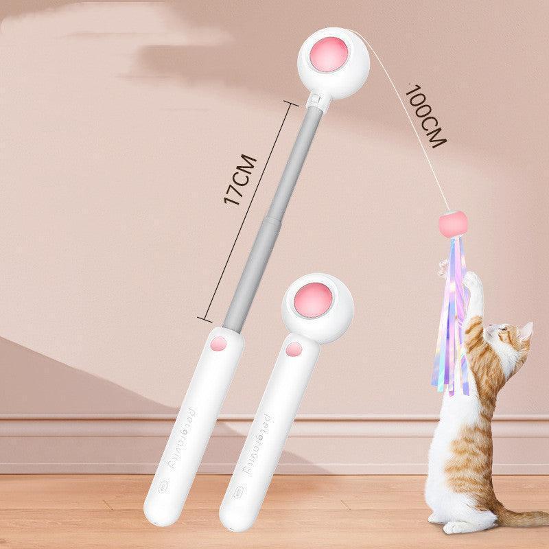 2 - In - 1 Extendable Cat Wand Toy With Laser Teaser And Feather Replacements - Pets Perfect
