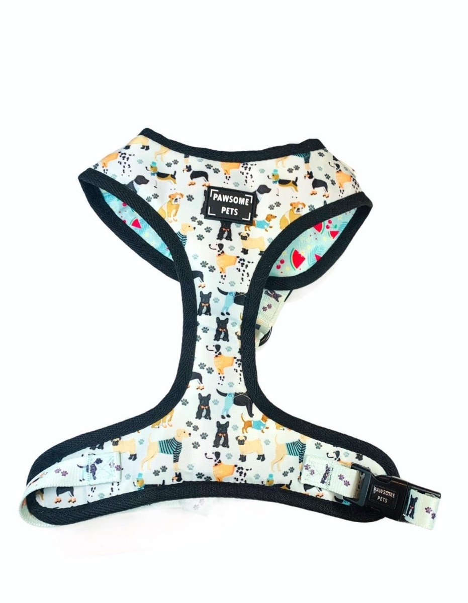 Adjustable Dog Harness, Dapper Doggy
