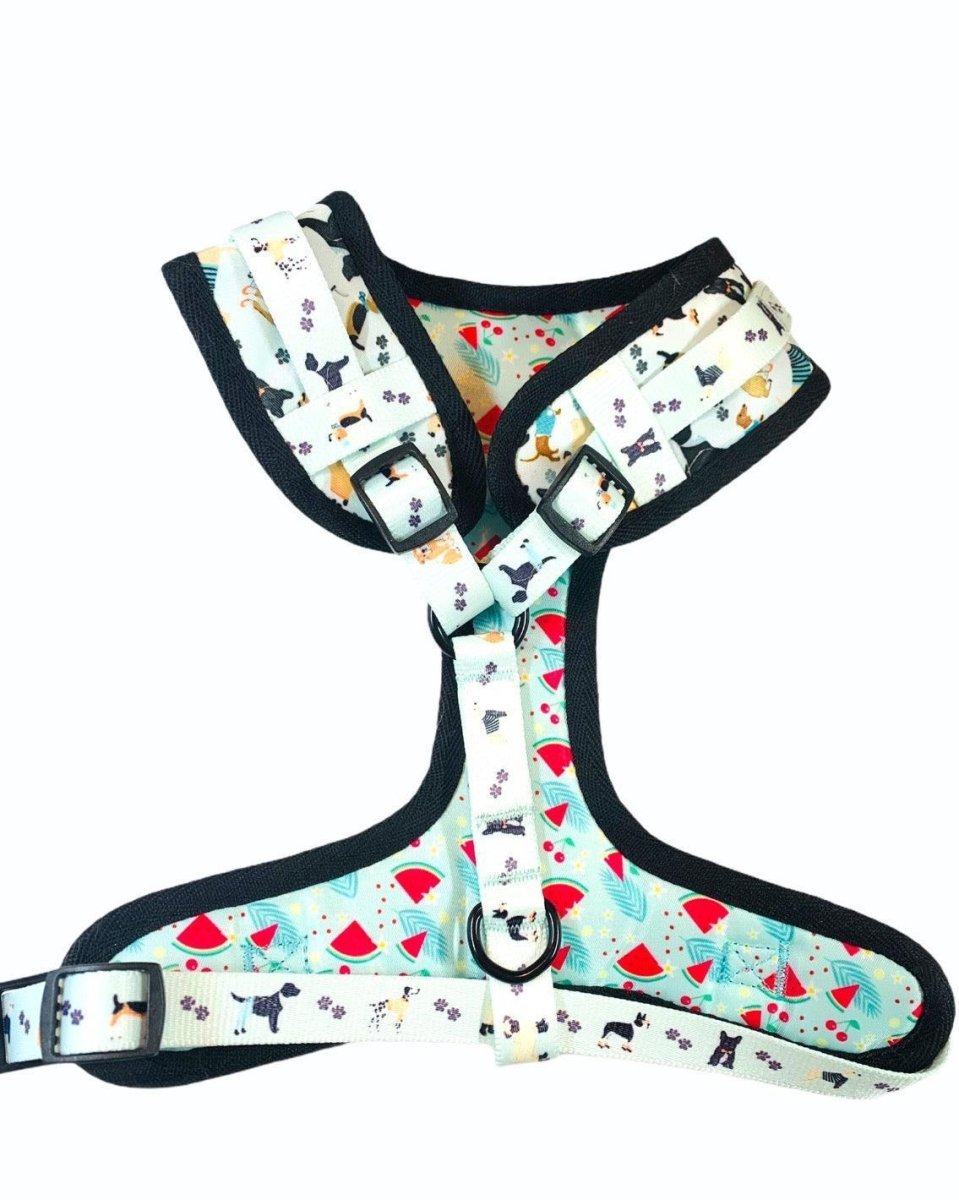 Adjustable Dog Harness, Dapper Doggy, view 3