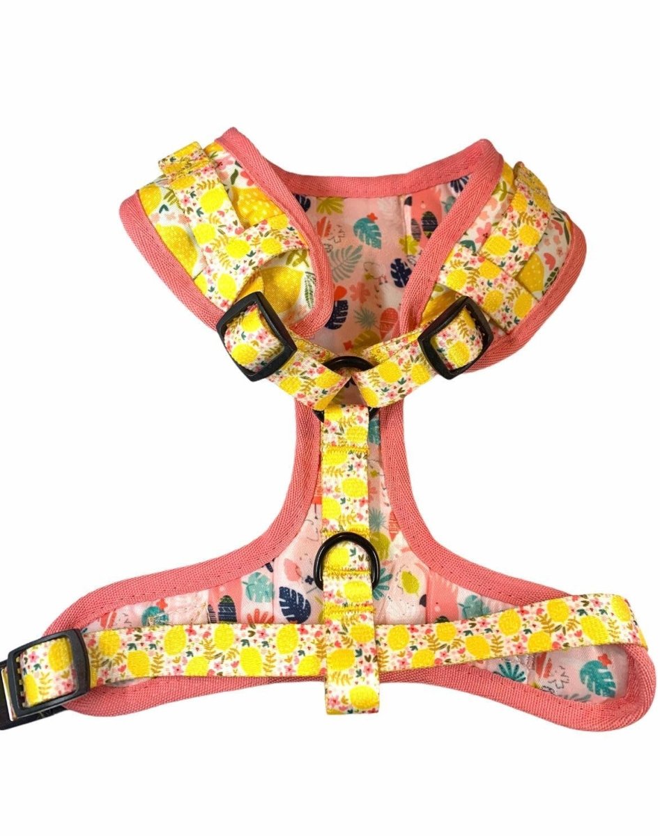 Adjustable Dog Harness, Oh My Lemon, view 2