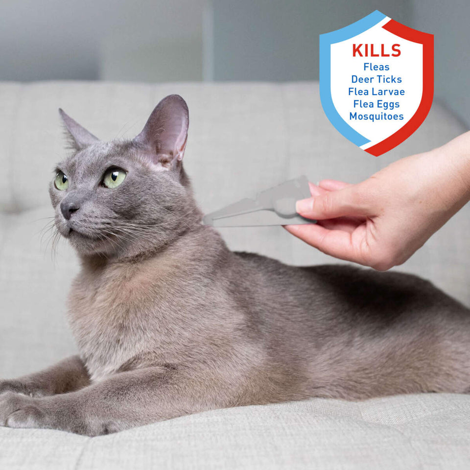 Adams Plus Flea & Tick Spot On for Cats & Kittens Over 2.5 lb But, view 3