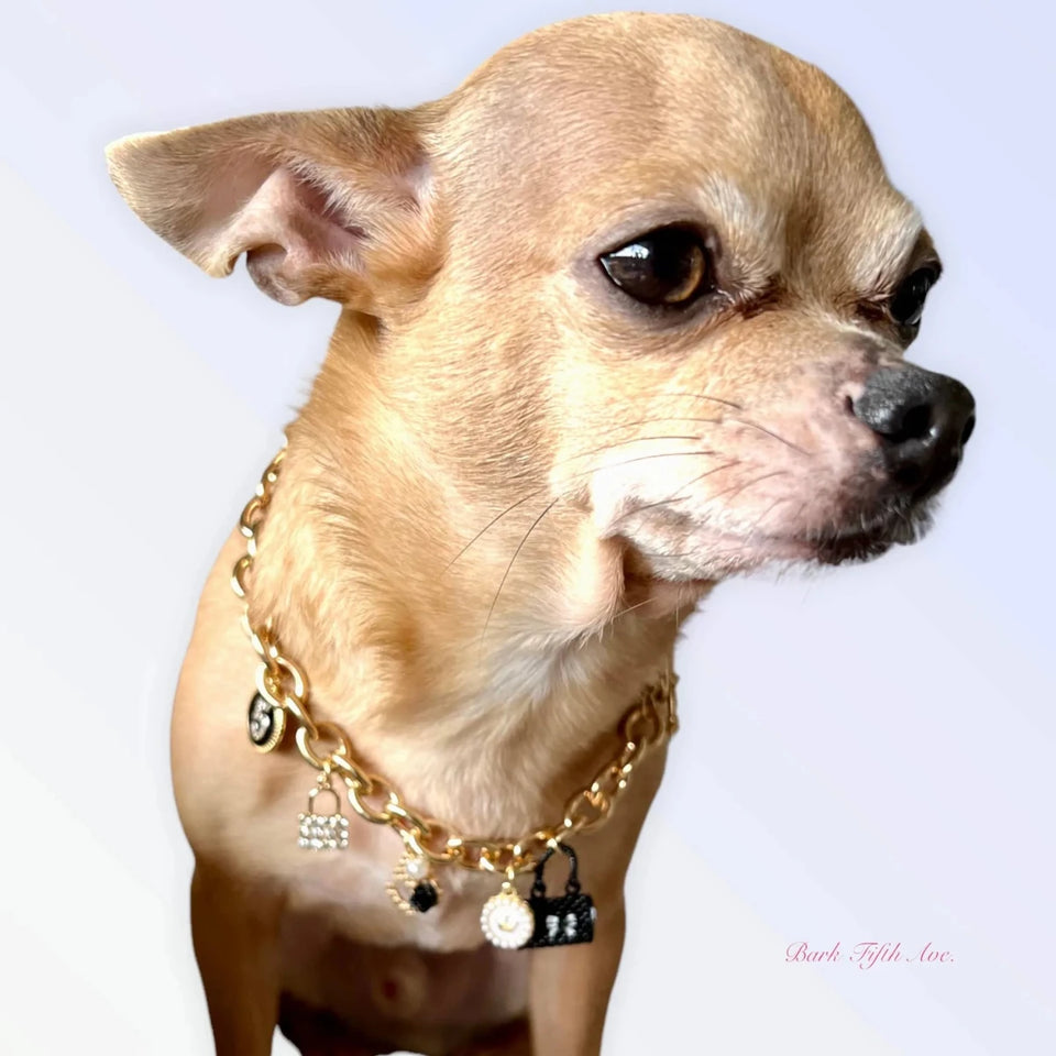 My Dainty Charm Necklace - Pets Perfect