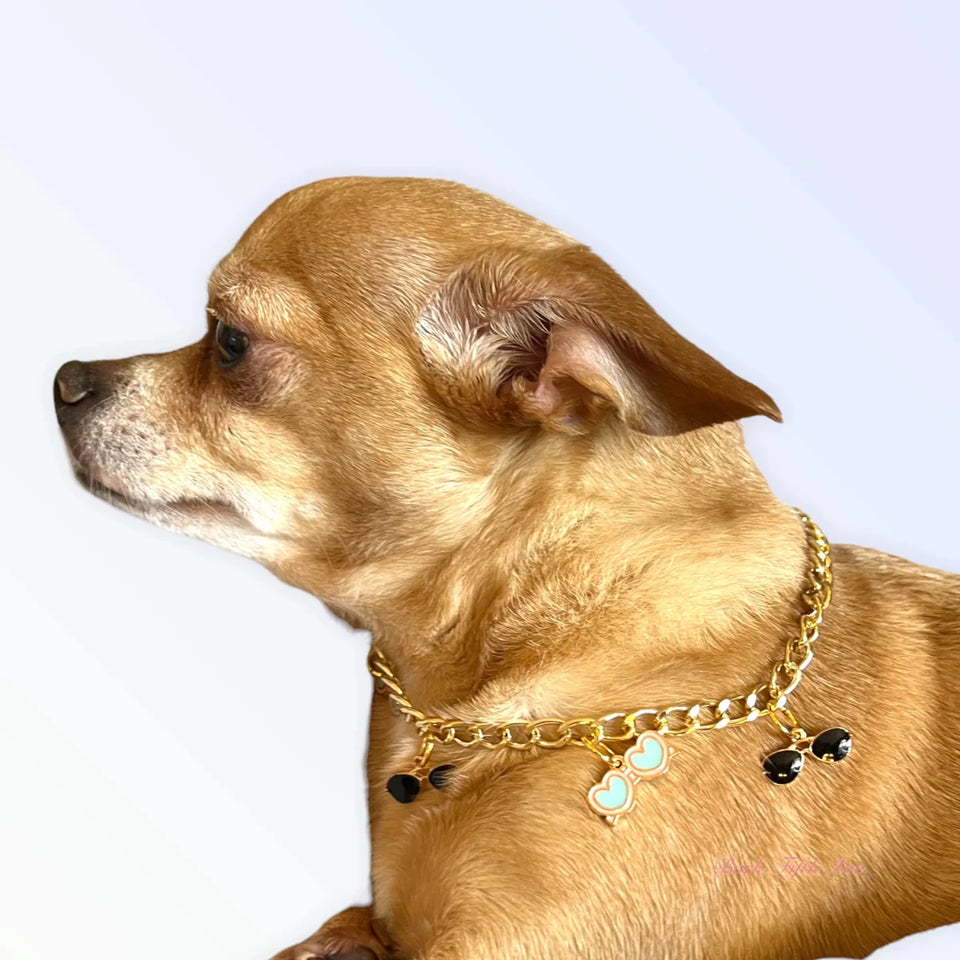 My Summertime Aviator Charm Toggle Necklace - Pets Perfect