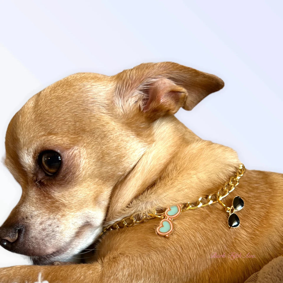 My Summertime Aviator Charm Toggle Necklace - Pets Perfect