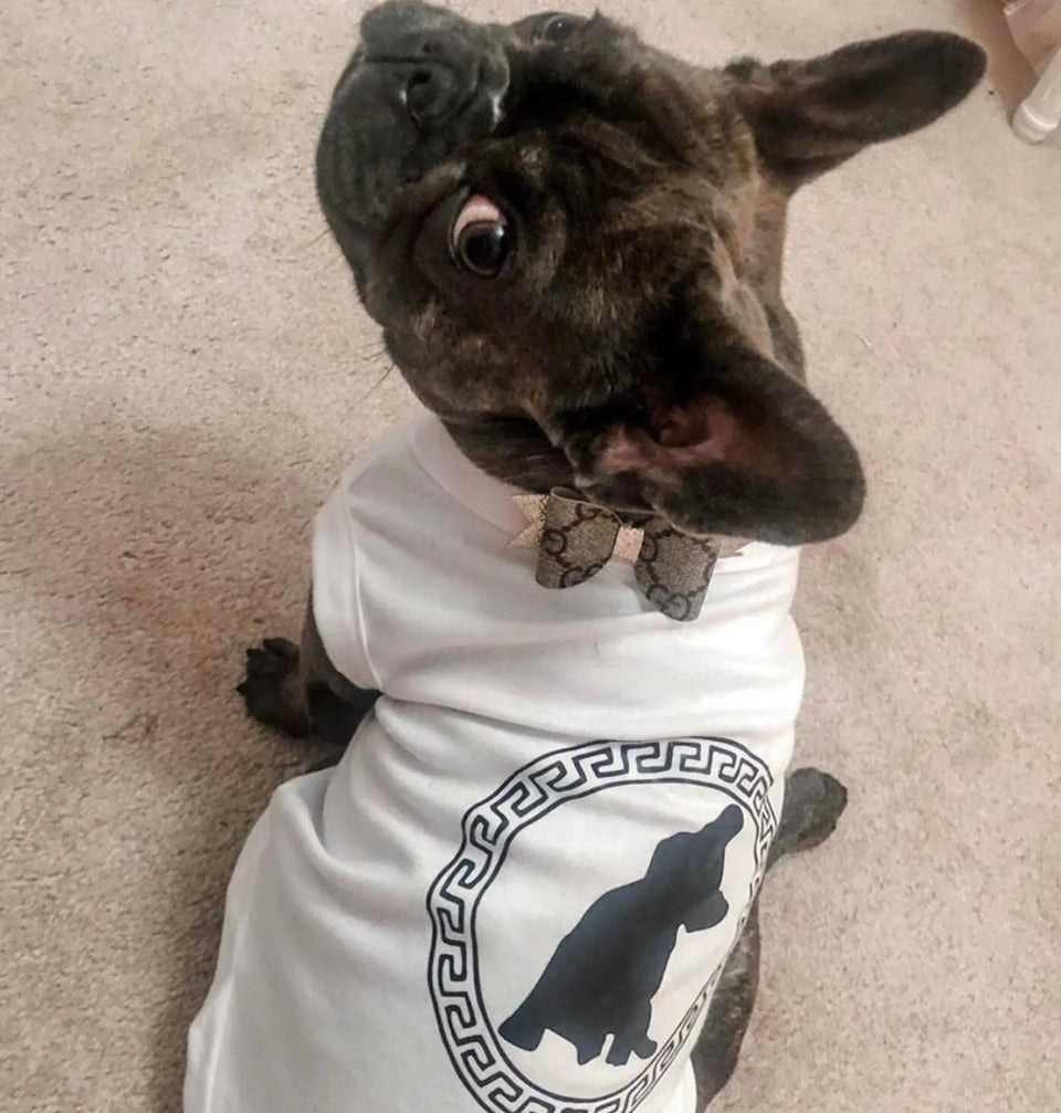 Pawsace Tee by Bark Fifth Avenue - Designer-Inspired Dog T-Shirt - Pets Perfect