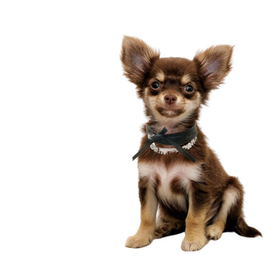 Rhinestone Ribbon Leatherette Pet Necklace - Pets Perfect
