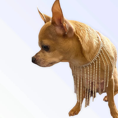 Bark Fifth Avenue The Starlet Dog Harness - Pets Perfect