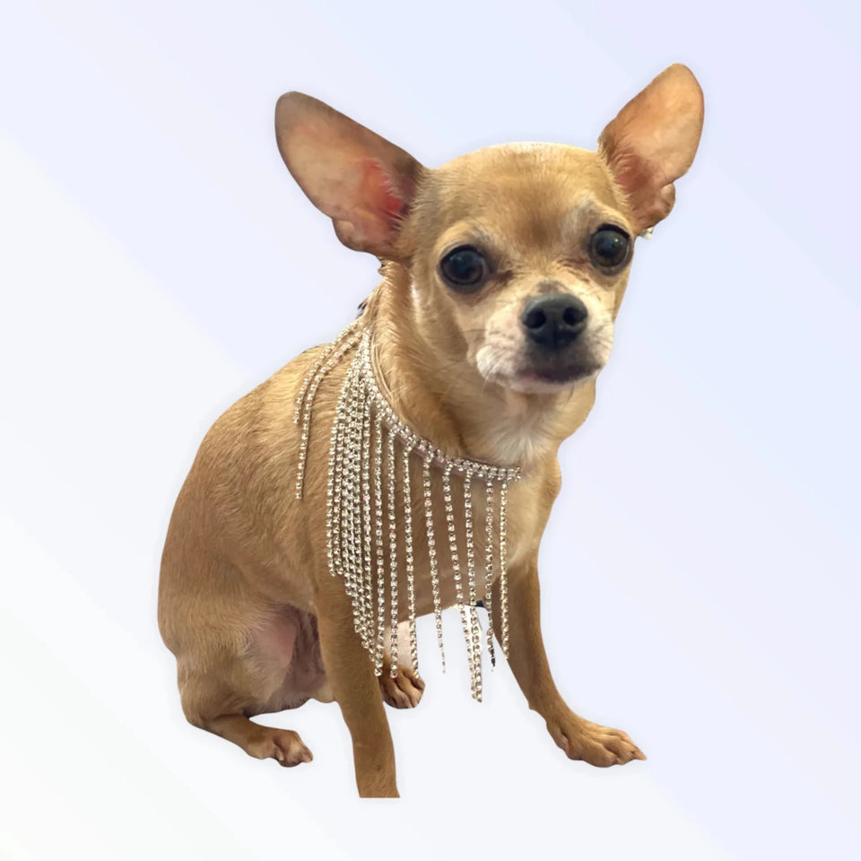 Bark Fifth Avenue The Starlet Dog Harness - Pets Perfect