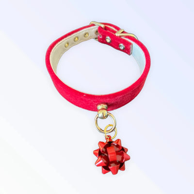 Velvet Gift Wrap Bow Dog Collar - Pets Perfect