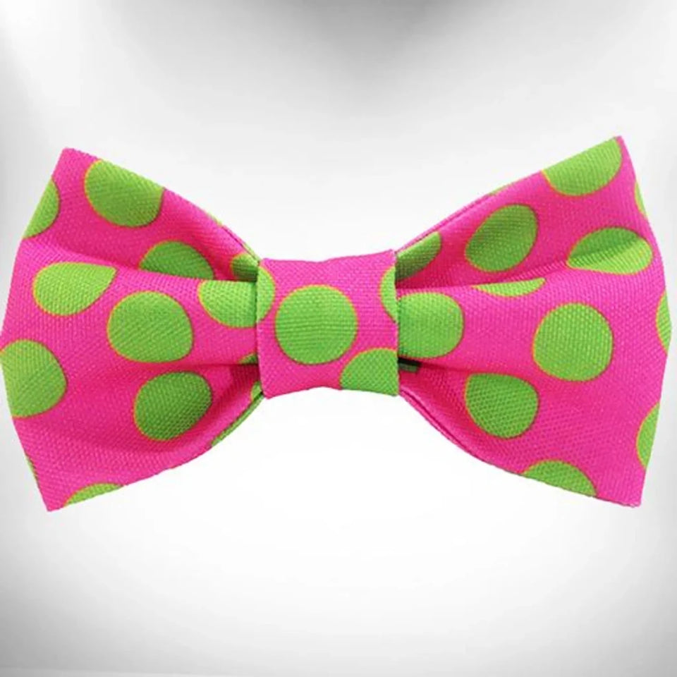 Walk-e-Woo Neon Polka Dot Dog Bow Tie - Bold, Bright & Built to Last - Pets Perfect
