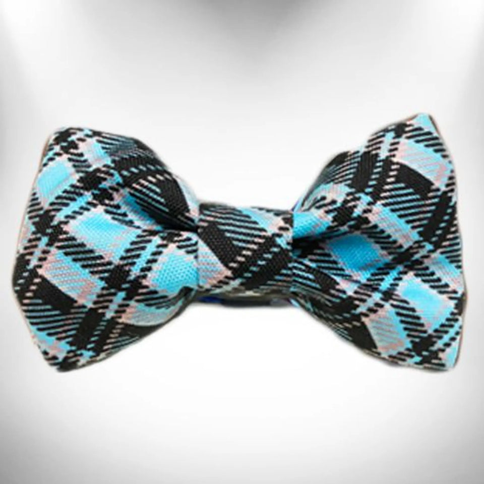 Plaid Dog Bow Tie by Walk-e-Woo, Steel blue/1, view 2