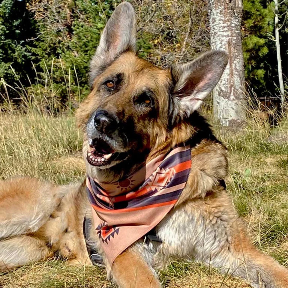 Walk-e-Woo Reversible Dog Bandana and Dog Leash - Athletic Fabric - Pets Perfect