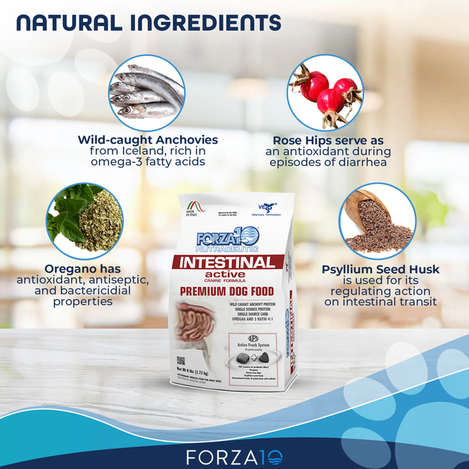 Forza10 Active Intestinal Support Diet Dry Dog Food, view 6
