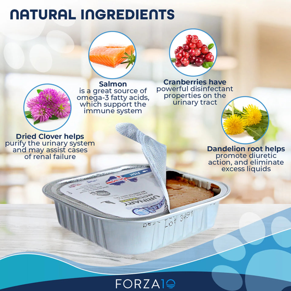 Forza10 Actiwet Urinary Support Icelandic Fish Recipe Canned Cat Food, view 5