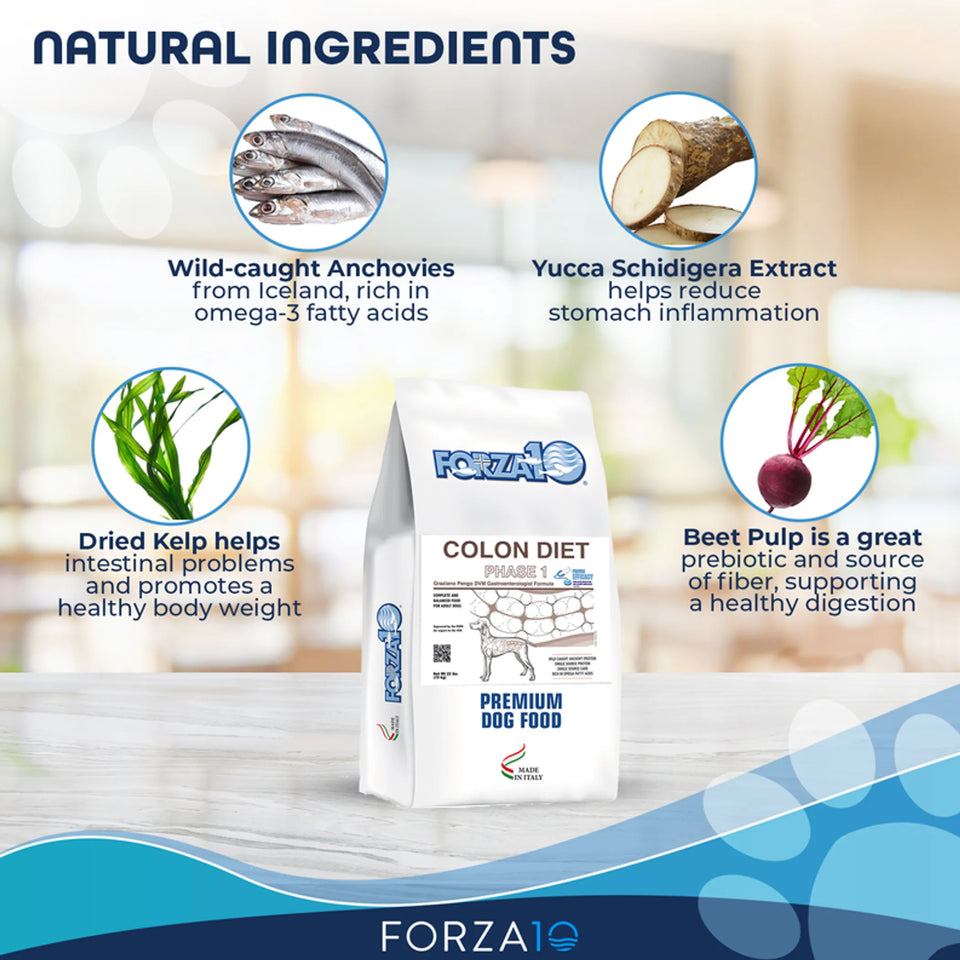 Forza10 Active Colon Support Diet Phase 1 Dry Dog Food, view 6