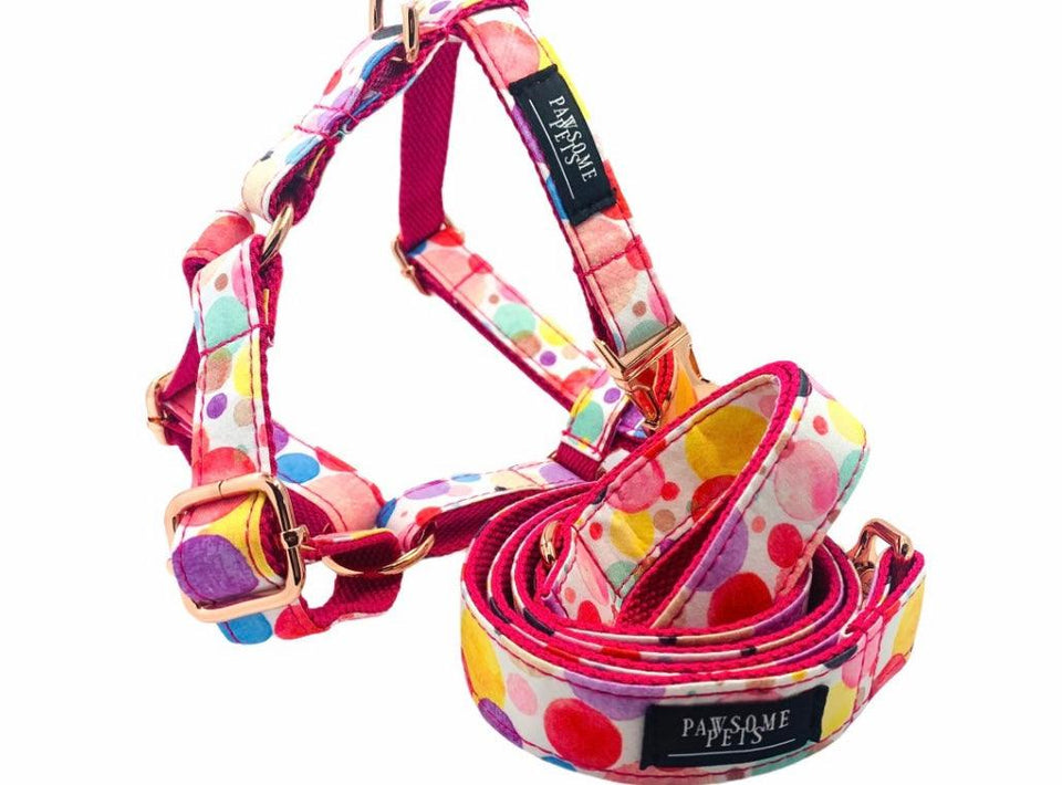 Step-in Dog Harness, Oh My Bubbles - Pets Perfect