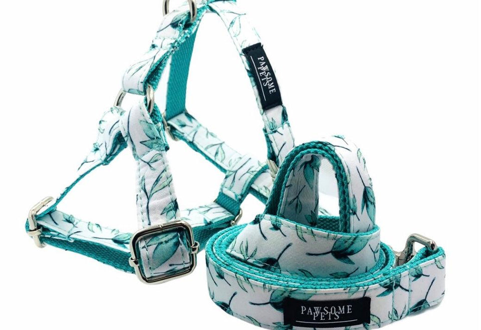 Step-in Dog Harness, Mint Leaf