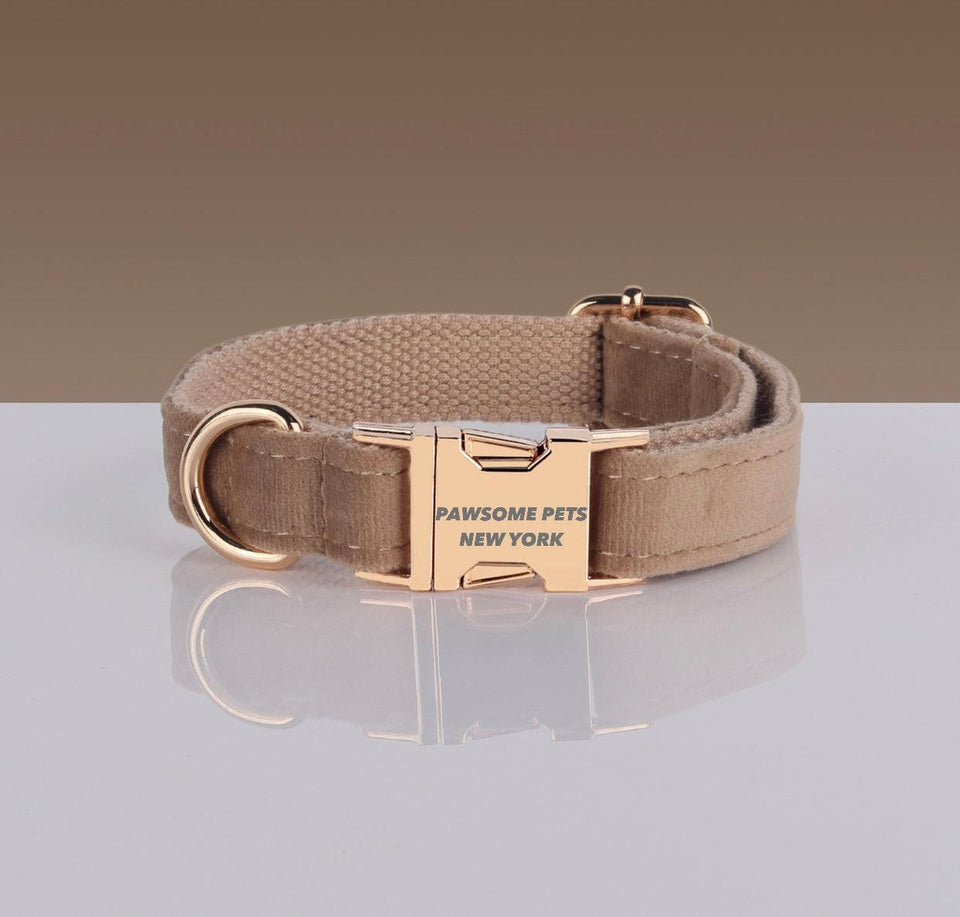 Adjustable Nylon Dog Collar - Quick-Release Buckle, XS