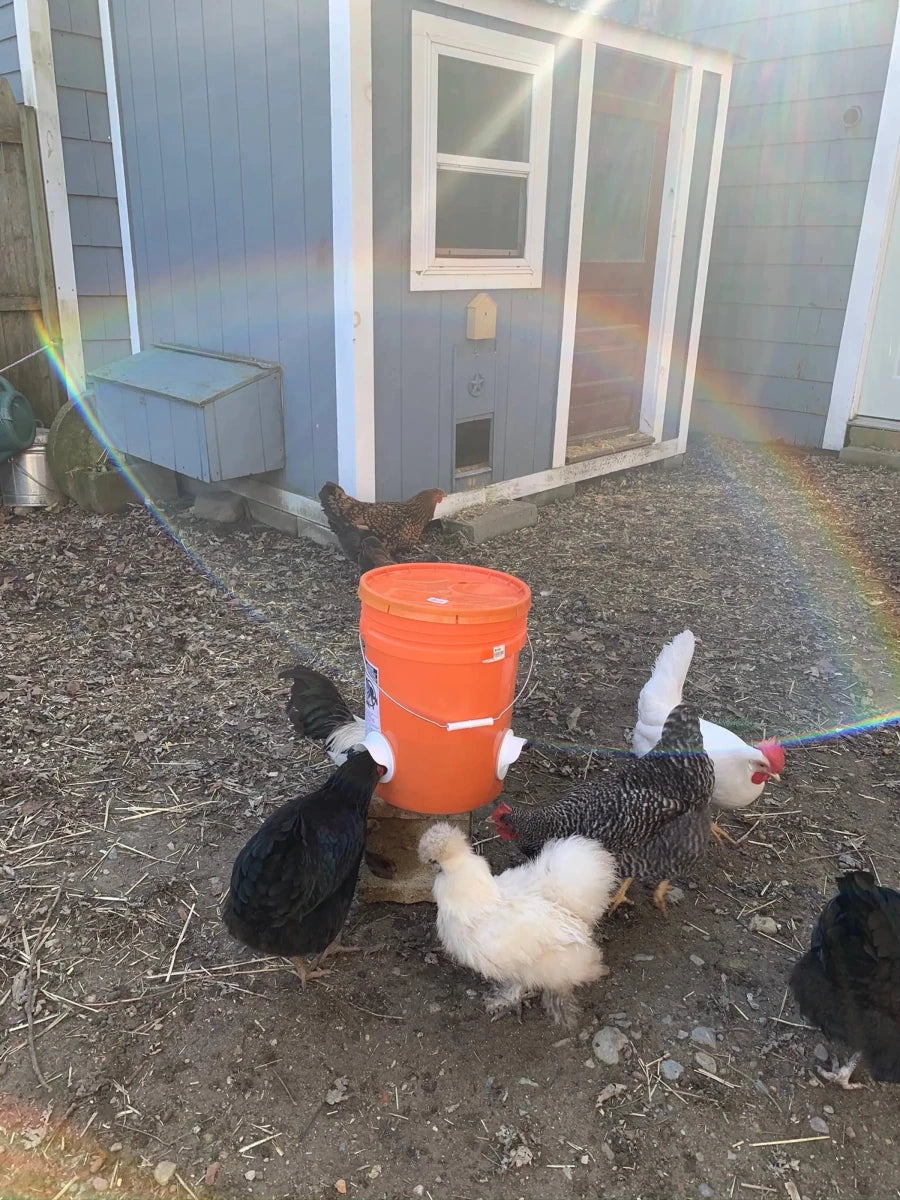 Poultry Pro Feeder, view 3
