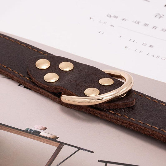 Petpals ComfortFit Adjustable Leather Dog Collar - Durable & Stylish for All Breeds