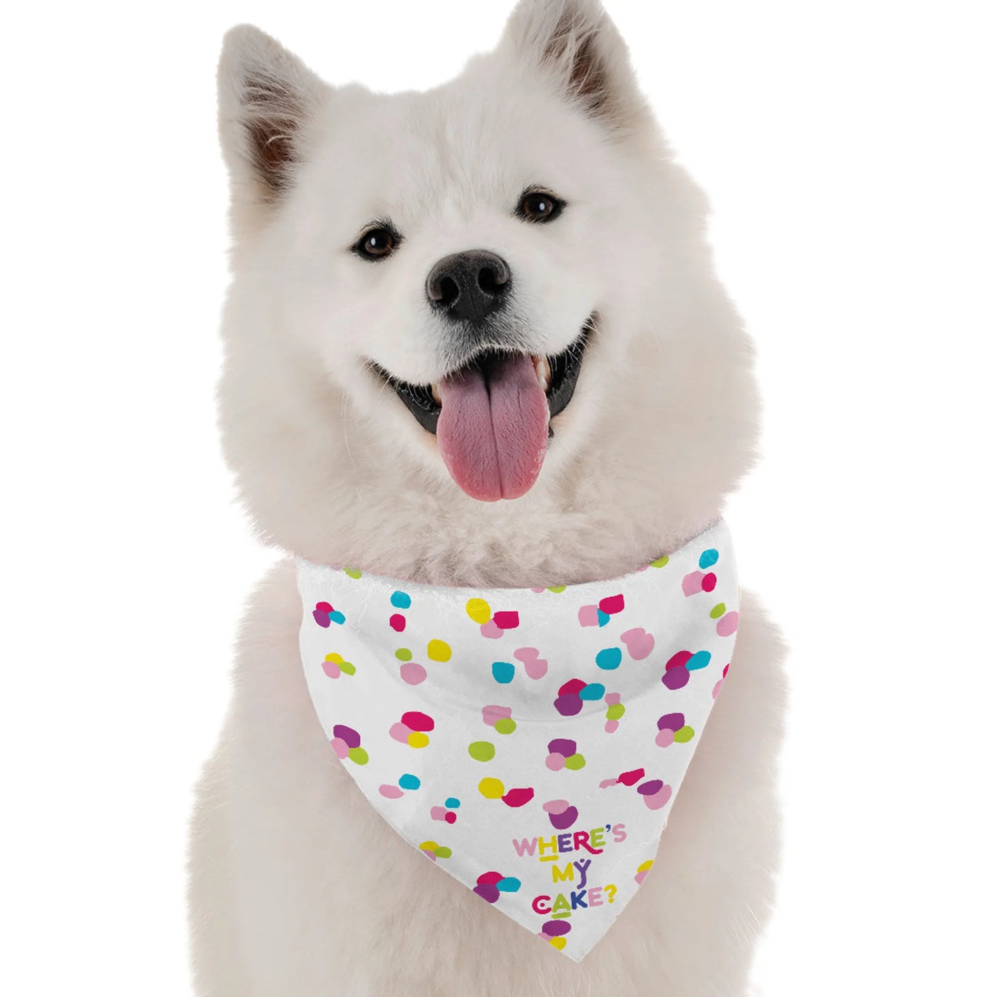 BanDoggie Where's My Cake? Girl Dog Bandana