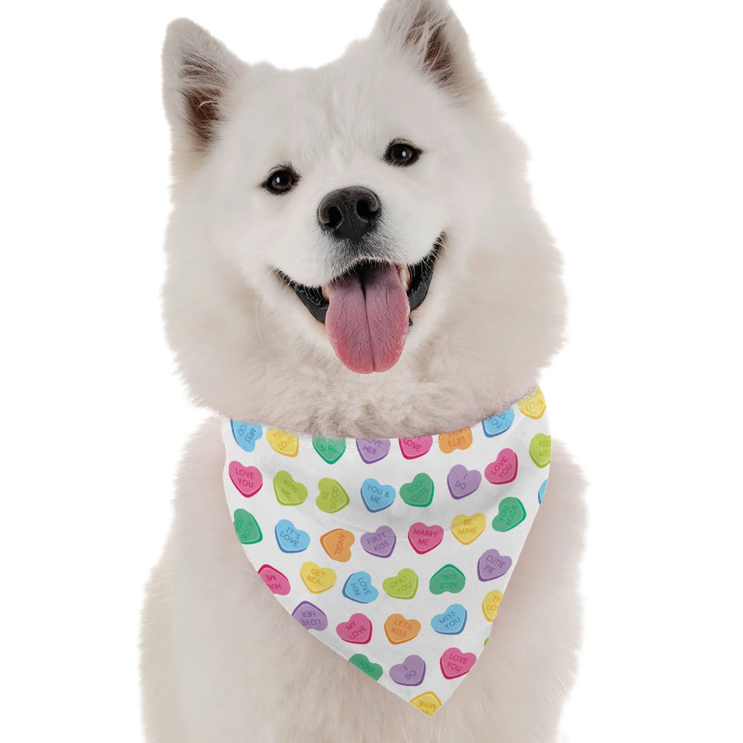 Candy Hearts Dog Bandana by BanDoggie