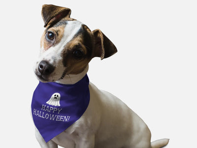 Happy Halloween! - Pets Perfect