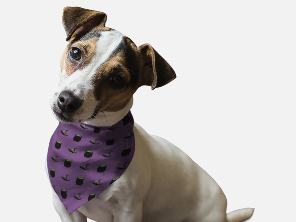 Witch's Brew Dog Bandana by BanDoggie - Pets Perfect