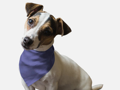 BanDoggie Lovely Lavender Solid Color Dog Bandana - Soft Microfiber, Made in USA - Pets Perfect