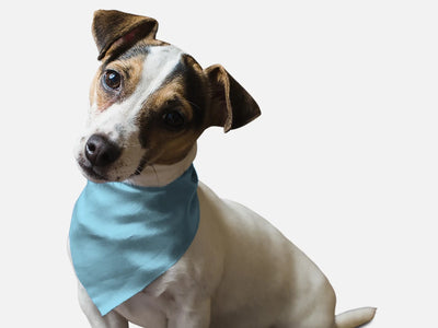 Water Bowl Blue Dog Bandana by BanDoggie - Pets Perfect