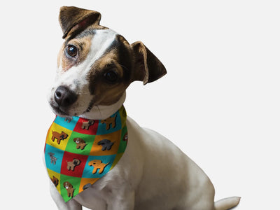 BanDoggie Park Snazzenue Dog Bandana - Pets Perfect