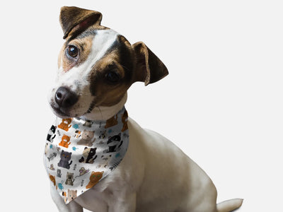 BanDoggie Tabby Dog Bandana - Fun Cat Print Microfiber Pet Bandana - Pets Perfect