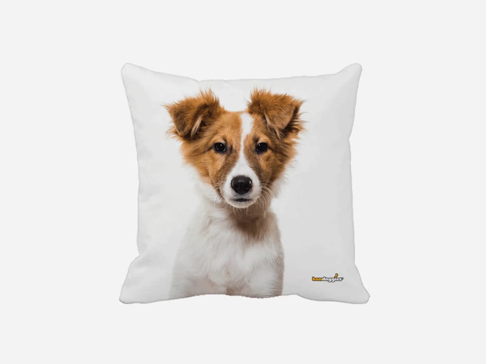 Australian Shepard Puppy Throw Pillow - Pets Perfect