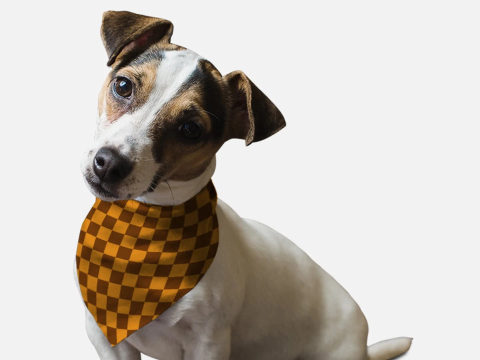 1930s Retro Style Dog Bandana by Bandoggies - Pets Perfect