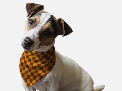 1930s Retro Style Dog Bandana by Bandoggies - Pets Perfect