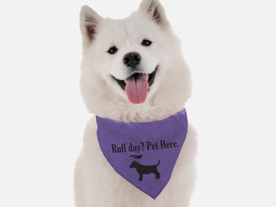BanDoggie Ruff Day? Pet Here. Dog Bandana - Funny Microfiber Pet Bandana, Made in USA - Pets Perfect