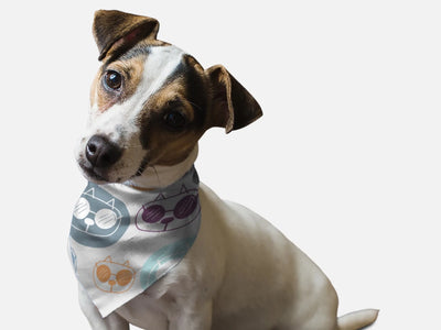 Caturday Saturday Dog Bandana by BanDoggies - Pets Perfect