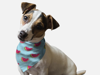 Summer Watermelon Dog Bandana by BanDoggie - Pets Perfect
