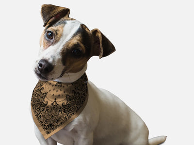 BanDoggie Sand Paisley Western Dog Bandana - Soft Microfiber, Made in USA - Pets Perfect