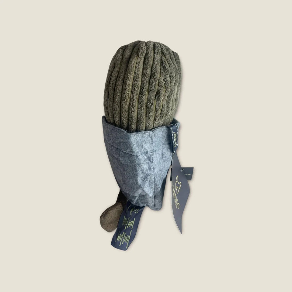 NANDOG My BFF Cactus Pot - Pets Perfect