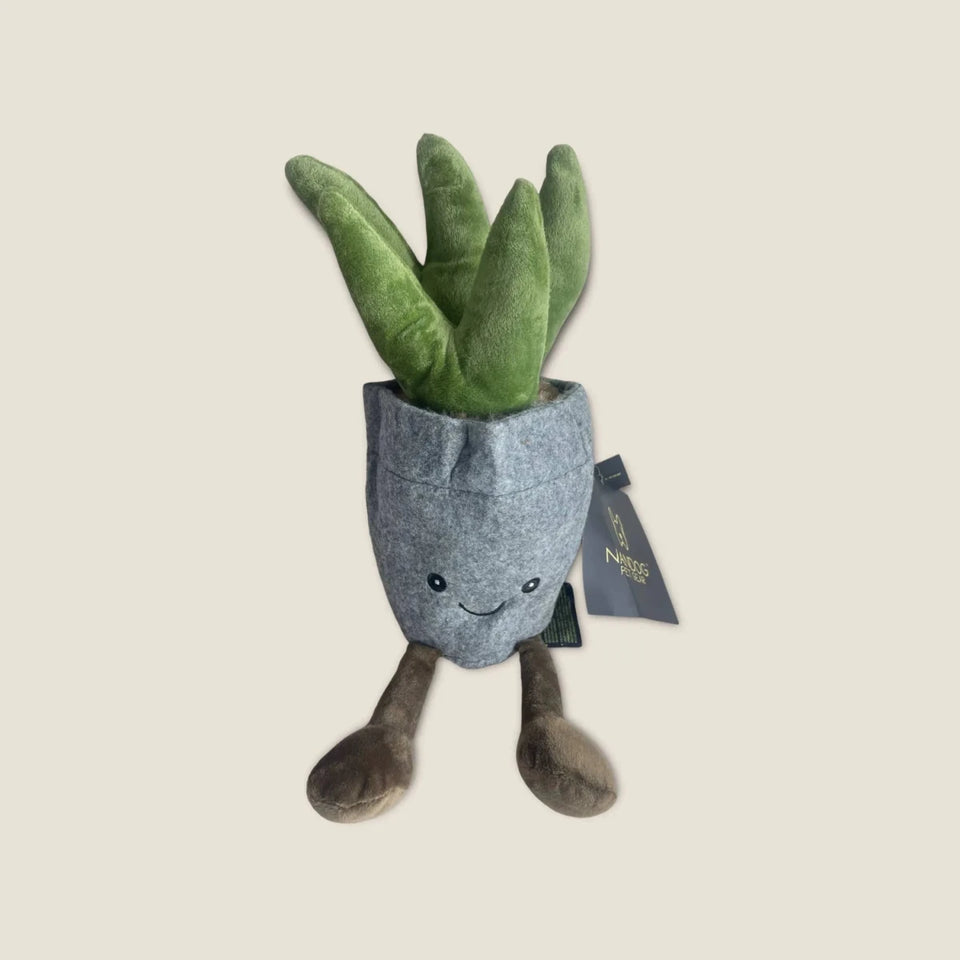 NANDOG My BFF Succulent Pot - Pets Perfect