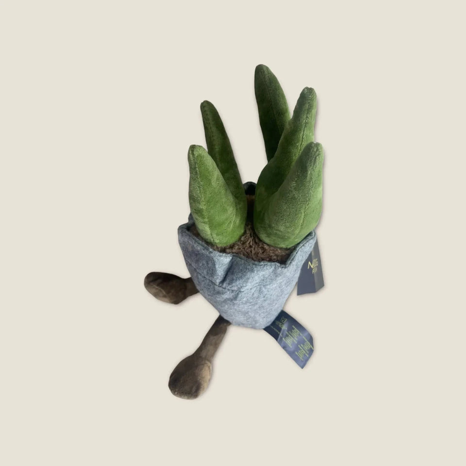 NANDOG My BFF Succulent Pot - Pets Perfect