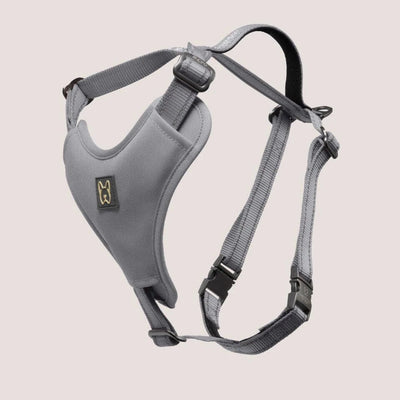 Gray NANDOG neoprene sport dog harness with black adjustable straps, front view