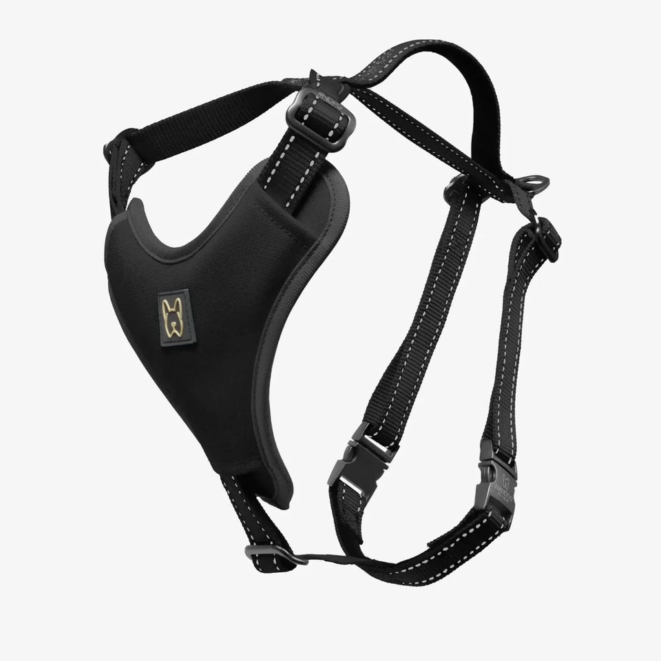 NANDOG Neoprene Sport Dog Harness - Pets Perfect