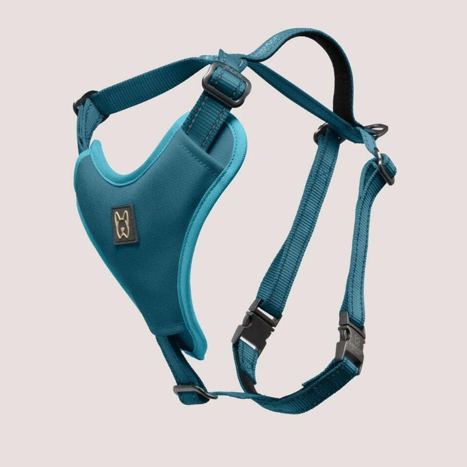 Teal NANDOG neoprene sport dog harness with matching adjustable straps, front view