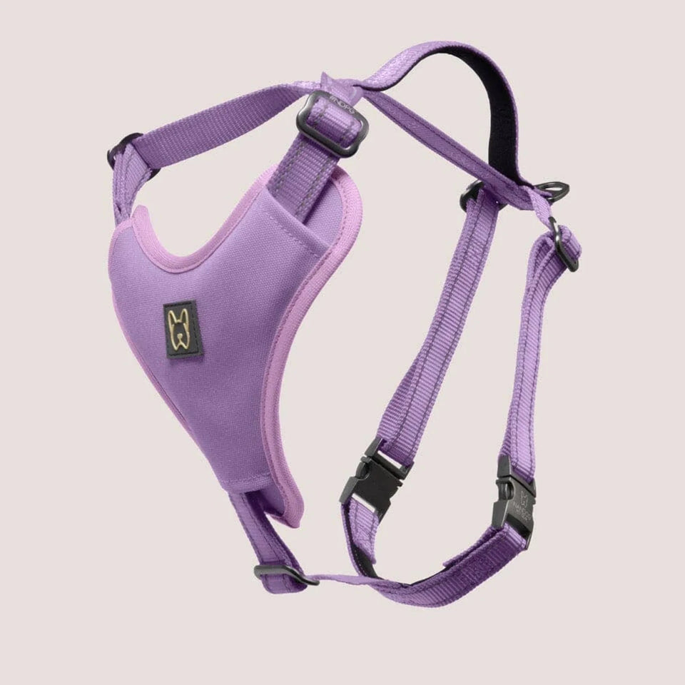 NANDOG Neoprene Sport Dog Harness - Pets Perfect