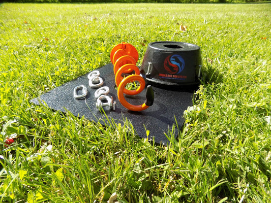 Double Dog Run Tangle-free Two Dog Tie Out Stake