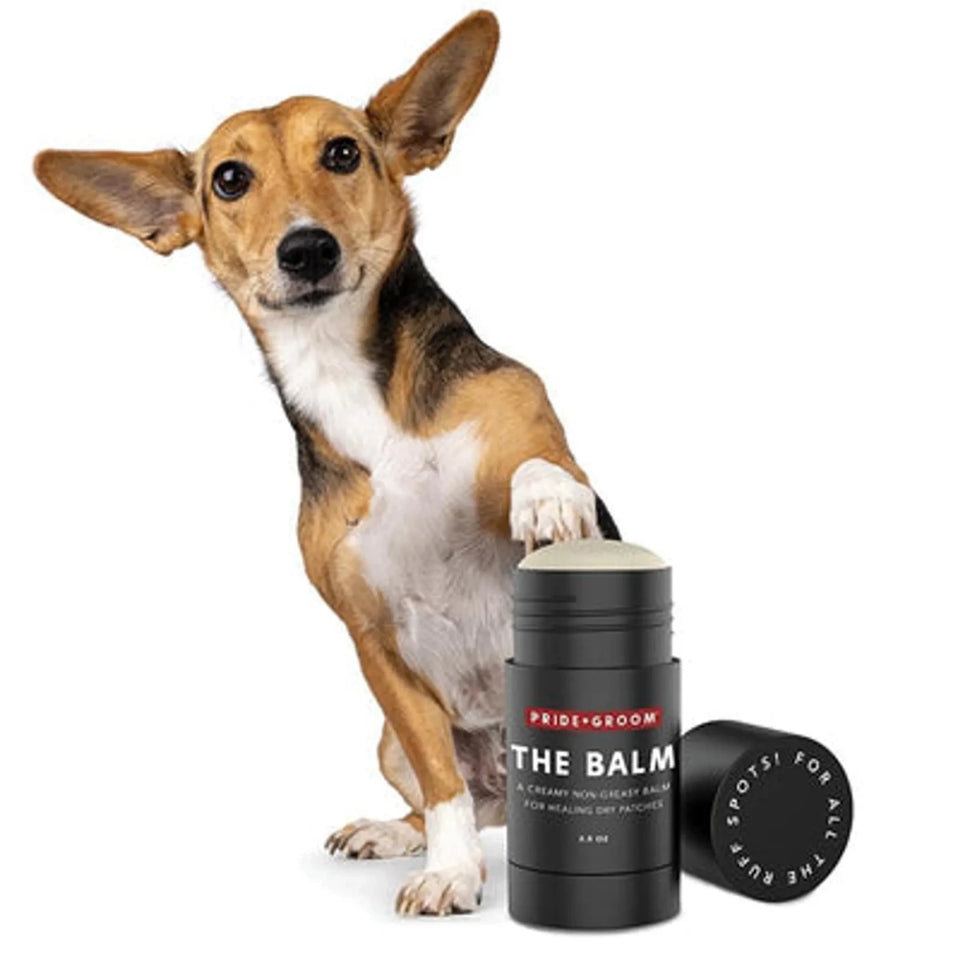 PRIDE+GROOM The Balm - Moisturizing Healing Balm for Dog Paws & Nose 2.5 oz - Pets Perfect