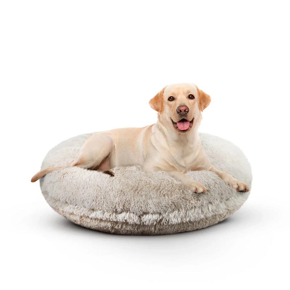 Bagel Bed Small - Blondie - Pets Perfect